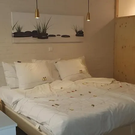 Apartment Waar Maas & Waal.....